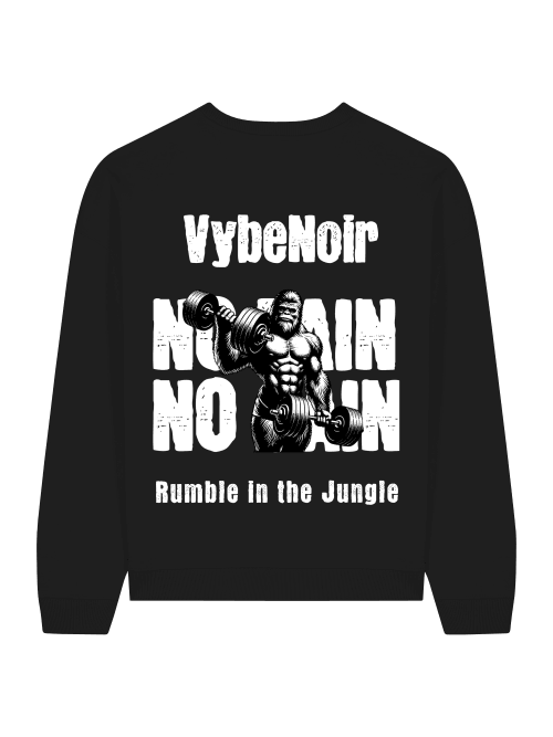 No Pain No Gain - VybeNoir